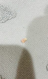 おめでとう！！