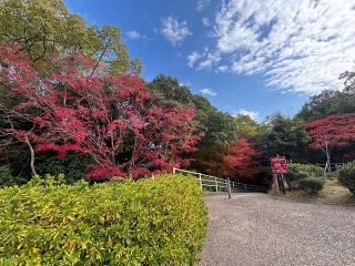 ���Ԍ���